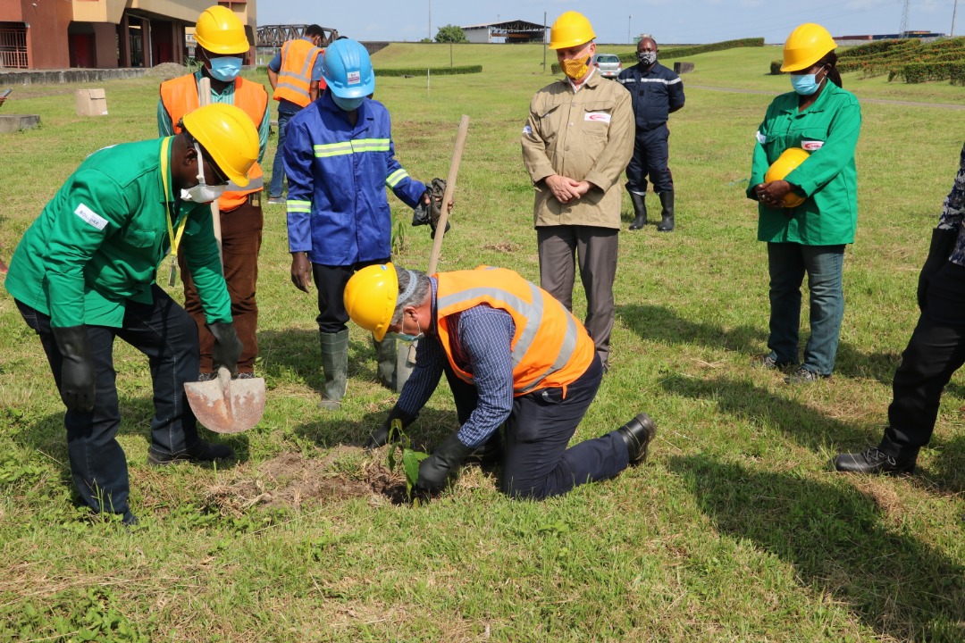 Le top management de la filiale du groupe Bolloré plante 150 tecks et eucalyptus à l’occasion de la célébration de la 48e édition de la Journée mondiale de l’environnement.