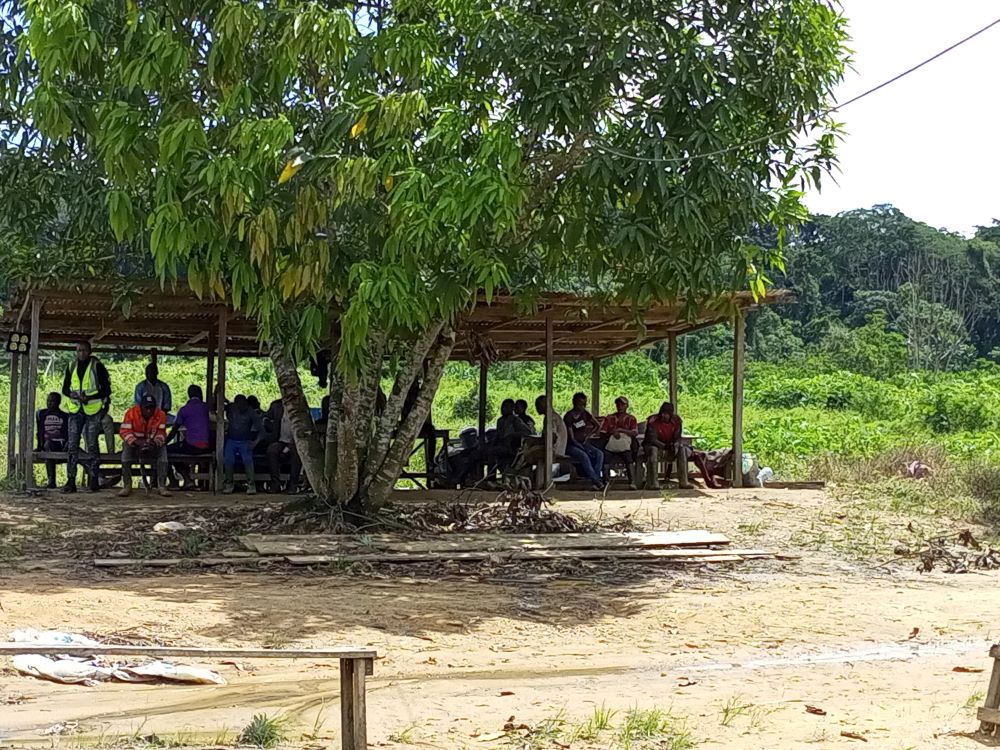 Retards de salaires, conditions de travail difficile et insuffisance alimentaire, sont autant de maux qui rongent les employés du Centre régional d’initiative et de formation en agriculture et technologies innovantes dans le département du Nkam. Le Président-directeur général de la structure promet d’améliorer leur situation.