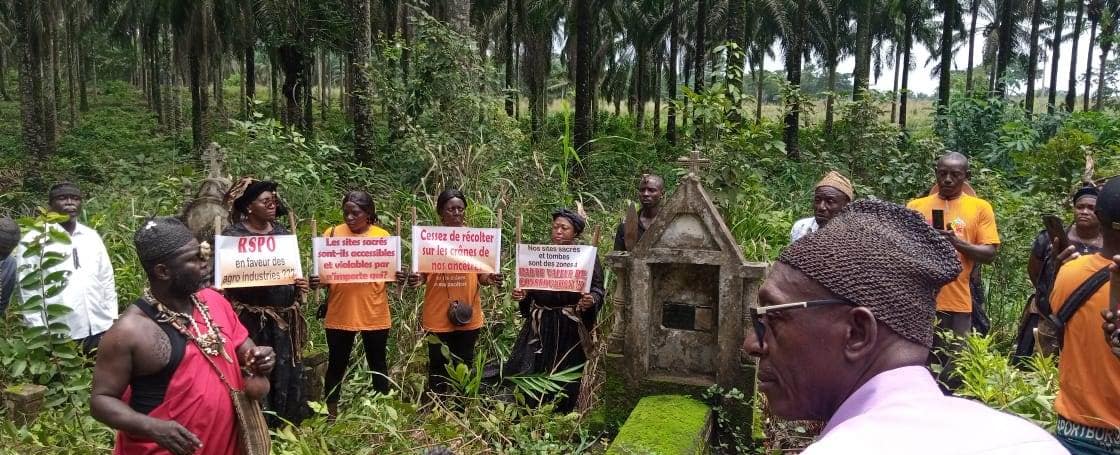 Cameroun/Revendications : à Mbonjo, la population veut déraciner la Socapalm