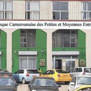 Le ministre des Petites et moyennes entreprises, de l’économie sociale et de l’artisanat (Minpmeesa), Achille Bassilekin III, a présidé la réunion annuelle d'orientation. A cet effet, la Banque camerounaise des PME a dévoilé ses priorités pour 2024. C'était le 23 janvier dernier à Yaoundé.