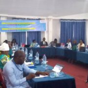 La promotion de leurs droits était au centre d’un atelier tenu du 29 au 31 janvier 2024 à Douala. Au menu des échanges, améliorer l'accès des handicapés à leurs droits au Cameroun et outiller les professionnels du droit sur le contenu de la CNDH.