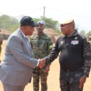 La première cuvée du Bataillon d’intervention rapide (BIR) de la République centrafricaine est sur le terrain. La cérémonie relative à leur opérationnalisation a été présidée hier mercredi 7 février 224, au camp Kassai par le chef de l’Etat centrafricain, le professeur Faustin Archange Touadera.