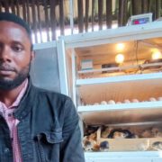 Dans la région de l’Ouest-Cameroun, plus précisément au lieu-dit « Batoukop » dans la commune d’arrondissement de Bafoussam 1er, Frédrickcène Kouagne gère une ferme avicole nommée « Edena’s Farm ». L’entreprise lancée il y a un an deux mois, est spécialisée dans l’élevage des poulets Goliath, une race de poulets qui se distinguent par leur taille (environ 60 cm), leur carrure et surtout leur résistance aux infections bactériennes.