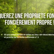 Publi-info: obtenez un actif immobilier en toute tranquillité – opportunité unique!