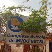 L'Etat préfère dépenser 161 milliards FCFA pour les importations des intrants avicoles que de donner 2 milliards FCFA pour la relance du Complexe avicole de Mvog-Betsi.