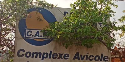 L'Etat préfère dépenser 161 milliards FCFA pour les importations des intrants avicoles que de donner 2 milliards FCFA pour la relance du Complexe avicole de Mvog-Betsi.