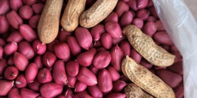 Dans son bulletin agrométéorologique decadaire, pour la période du 21 au 31 mai 2025, la Direction de la Météorologie Nationale (DMN) du ministère des Transports donne une série de recommandations techniques en vue de sauver la récolte des agriculteurs dans un contexte de changement/ variation climatique.