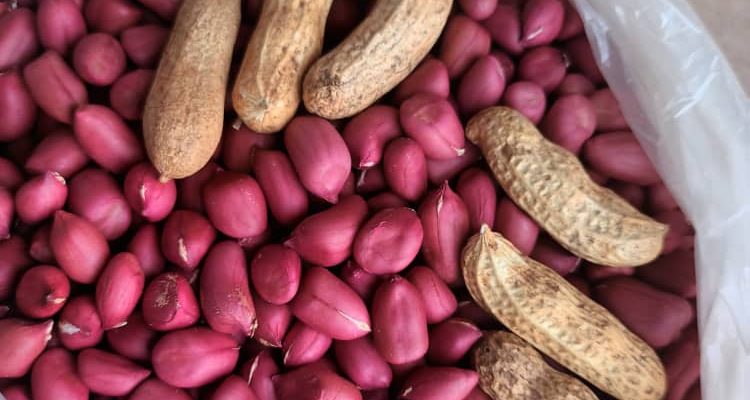 Dans son bulletin agrométéorologique decadaire, pour la période du 21 au 31 mai 2025, la Direction de la Météorologie Nationale (DMN) du ministère des Transports donne une série de recommandations techniques en vue de sauver la récolte des agriculteurs dans un contexte de changement/ variation climatique.