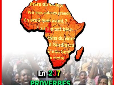 Auteur de « L’Armée tchadienne, bouclier d’Afrique » paru en 2014, le journaliste revient en août 2025 avec un nouveau livre sur les proverbes de la politique au Cameroun et en Afrique.
