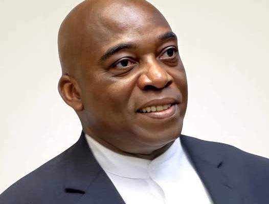 Son mentor Laurent Gbagbo étant inéligible, le vice-président du PPA-CI chargé de la promotion du panafricanisme se porte candidat à l’élection présidentielle d’octobre prochain.