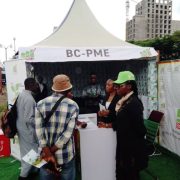 Le Plan d’Import-Substitution Agropastoral et Halieutique (PIISAH) a été présenté au public lors de la 14ème édition du Salon de l’Action Gouvernementale (SAGO) tenue du 28 juin au 05 juillet 2025 à l’hôtel de ville de Yaoundé.