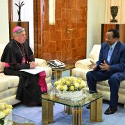 À l'approche des élections présidentielles, Paul Biya a accordé une audience à Mgr José Avelino Bettencourt, Nonce apostolique au Cameroun, dans un contexte politique tendu. Cette rencontre, marquée par des enjeux diplomatiques et symboliques, souligne les relations complexes entre le Cameroun et le Saint-Siège.