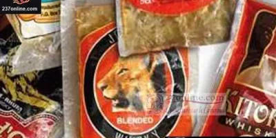 Mbouda, Mokolo, Bafia ou Batouri : dans les campagnes camerounaises, le whisky en sachet s'impose comme un incontournable. Peu coûteux, facilement transportable et omniprésent lors des événements sociaux, cet alcool fort est devenu un compagnon quotidien pour des milliers de ruraux. Mais à quel prix ?