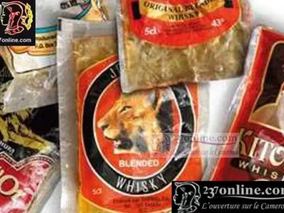 Mbouda, Mokolo, Bafia ou Batouri : dans les campagnes camerounaises, le whisky en sachet s'impose comme un incontournable. Peu coûteux, facilement transportable et omniprésent lors des événements sociaux, cet alcool fort est devenu un compagnon quotidien pour des milliers de ruraux. Mais à quel prix ?