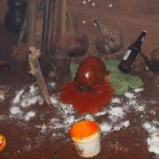 Entre croyances ancestrales et symbolisme profond, le culte des crânes est exclusivement réservé aux initiés. 