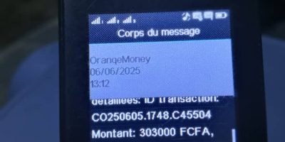 Ils dénoncent la baisse vertigineuse de leurs commissions, l’insécurité et l’arnaque dont ils sont victimes au quotidien dans l’exercice de leurs fonctions. Orange Cameroun réagit, MTN Cameroon choisit le silence. 