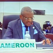 A la Conférence internationale de Tokyo sur le développement de l'Afrique (TICAD-9), le Premier ministre camerounais a porté le message dans lequel le chef de l’Etat appelle à la synergie pour soutenir les efforts de stabilisation mondiale.