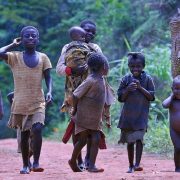 « L’État assure la protection des minorités et préserve les droits des populations autochtones conformément à la loi. » C’est ce que proclame l’article 1, alinéa 2 de la Constitution. Pourtant, cette noble déclaration reste une coquille vide lorsqu’il s’agit des peuples Pygmées.