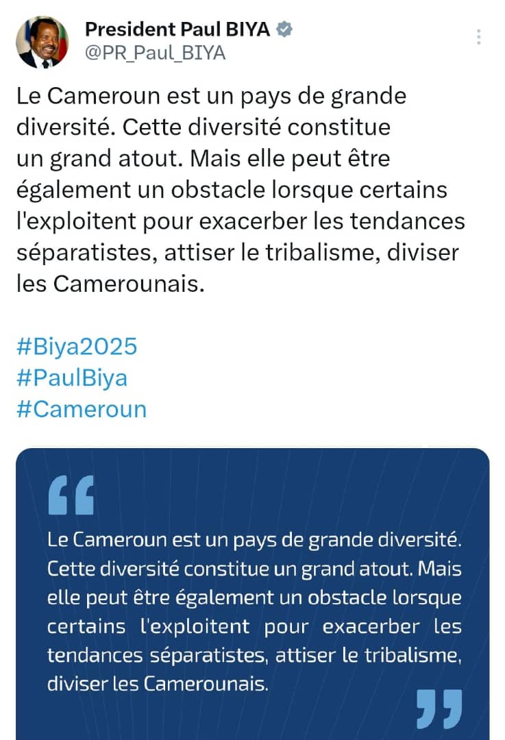 Paul Biya suit de près l’ambiance qui prévaut sur les réseaux sociaux ces dernières semaines. La montée en puissance des discours de haine contre des groupes ethniques prend des proportions considérables sur les plateformes numériques. Face à ces fléaux qui visent à diviser les Camerounais, le président sortant tente de calmer les protagonistes à travers un message rassembleur. « Le Cameroun est un pays de grande diversité. Cette diversité constitue un grand atout. Mais elle peut être également un obstacle lorsque certains l'exploitent pour exacerber les tendances séparatistes, attiser le tribalisme, diviser les Camerounais », a écrit le chef de l’Etat camerounais ce lundi.
