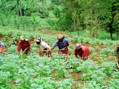 Cameroun : le journaliste Thierry Djoussi présente le tableau sombre du secteur agro-pastoral et halieutique à la veille de la présidentielle 2025