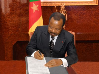 Les acteurs politiques y voient une nouvelle manœuvre du pouvoir RDPC pour perpétuer sa domination sur la scène politique. L'on va jusqu'à penser que le mandat des conseillers régionaux aurait mérité d'être prorogé pour que le scrutin ait lieu après les élections législatives et municipales de mars 2026 dans la mesure où l'un des collèges électoraux est constitué de conseillers municipaux. Des éléments d'éclairage s'imposent.