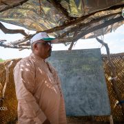 Dans un communiqué de presse publié le 6 octobre dernier, le Front Social-Démocrate (SDF) informe qu’il a déposé une liste de 31 000 agents électoraux auprès de la commission électorale à Yaoundé pour couvrir les 33 000 bureaux de vote répartis sur l’ensemble du territoire national.
