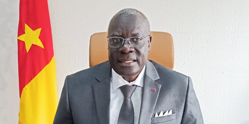 « Jeunesse au cœur des grandes espérances, pour un Cameroun uni, stable et prospère ». C’est le thème retenu cette année pour la célébration de la fête de la jeunesse au Cameroun.