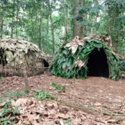 Dans l’arrondissement de Mintom, au sud du Cameroun, le Musée Vivant Baka propose une expérience muséographique inédite : préserver une culture en la laissant s’exprimer dans son milieu naturel. Entre transmission des savoirs, sécurisation foncière et émancipation des femmes, ce projet ambitionne de réconcilier patrimoine, écologie et développement local.