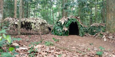 Dans l’arrondissement de Mintom, au sud du Cameroun, le Musée Vivant Baka propose une expérience muséographique inédite : préserver une culture en la laissant s’exprimer dans son milieu naturel. Entre transmission des savoirs, sécurisation foncière et émancipation des femmes, ce projet ambitionne de réconcilier patrimoine, écologie et développement local.