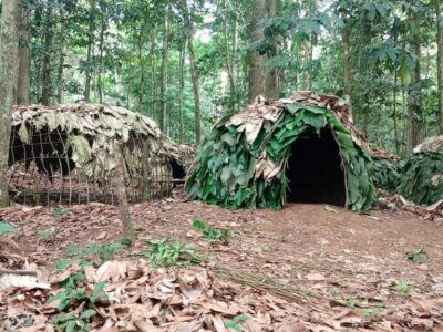 Dans l’arrondissement de Mintom, au sud du Cameroun, le Musée Vivant Baka propose une expérience muséographique inédite : préserver une culture en la laissant s’exprimer dans son milieu naturel. Entre transmission des savoirs, sécurisation foncière et émancipation des femmes, ce projet ambitionne de réconcilier patrimoine, écologie et développement local.