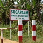 Dans le cadre de son engagement citoyen en faveur de l’insertion professionnelle des jeunes talents, il est ouvert jusqu’au 15 avril 2026 à la Socapalm, la 4ème promotion de son programme de stages pré-emploi. Les dossiers des postulants sont vivement attendus.