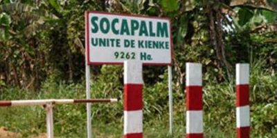 Dans le cadre de son engagement citoyen en faveur de l’insertion professionnelle des jeunes talents, il est ouvert jusqu’au 15 avril 2026 à la Socapalm, la 4ème promotion de son programme de stages pré-emploi. Les dossiers des postulants sont vivement attendus.