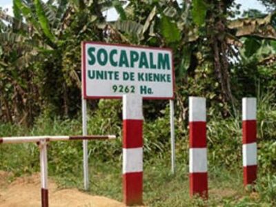 Dans le cadre de son engagement citoyen en faveur de l’insertion professionnelle des jeunes talents, il est ouvert jusqu’au 15 avril 2026 à la Socapalm, la 4ème promotion de son programme de stages pré-emploi. Les dossiers des postulants sont vivement attendus.