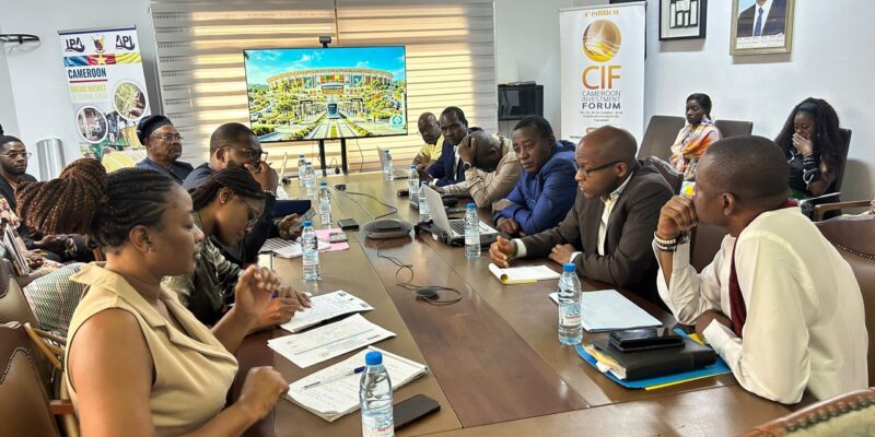 Séance de travail de l'équipe de Ndollè City à l'Agence de promotion des investissements à Yaoundé